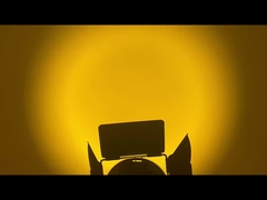 ডাব্লুডাব্লু সিডাব্লু এলইডি ফ্রেনেল স্পট লাইট